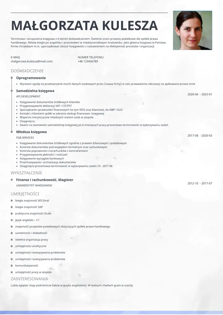 szablon cv ceramica szary