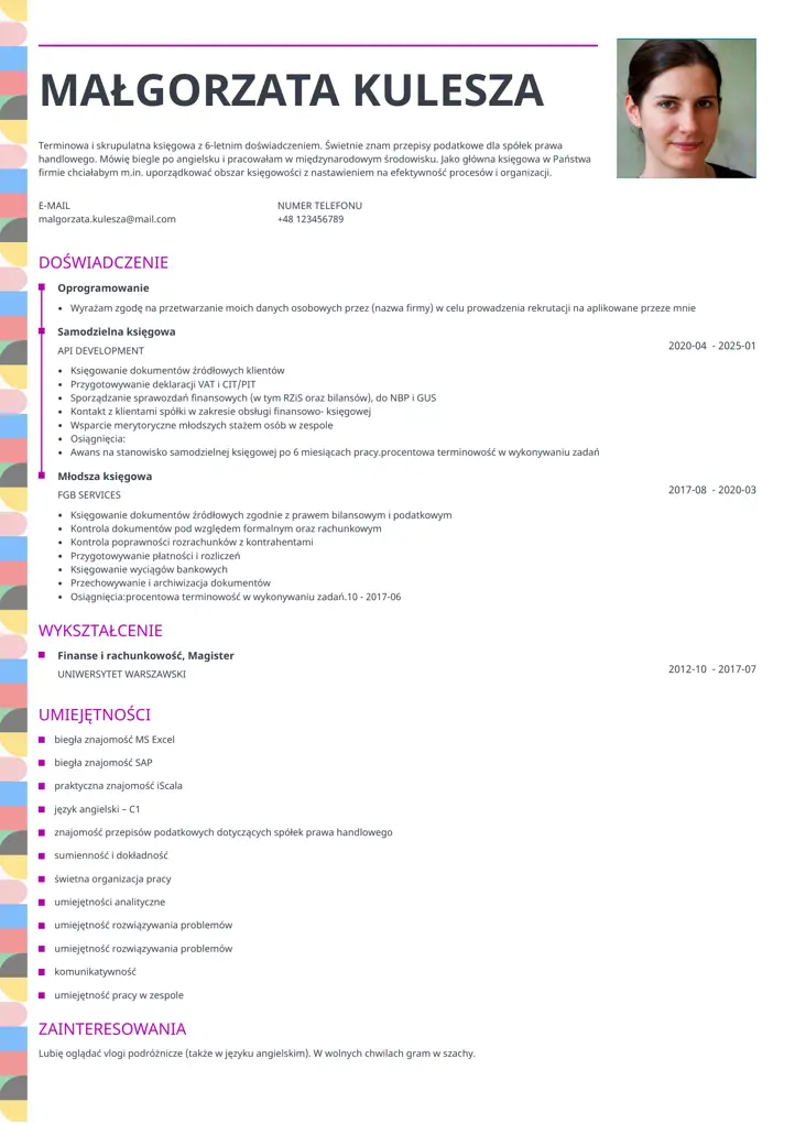 cv profile template red