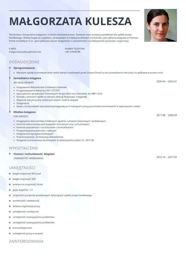 synergy cv template gray