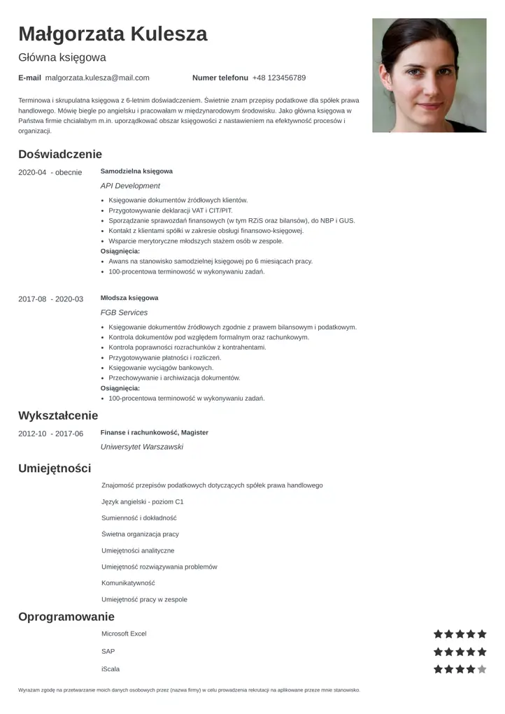minimo cv template black
