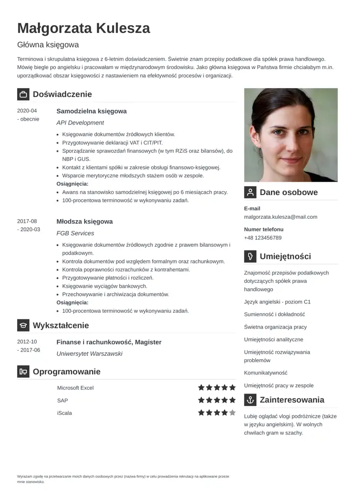 vibes cv template black