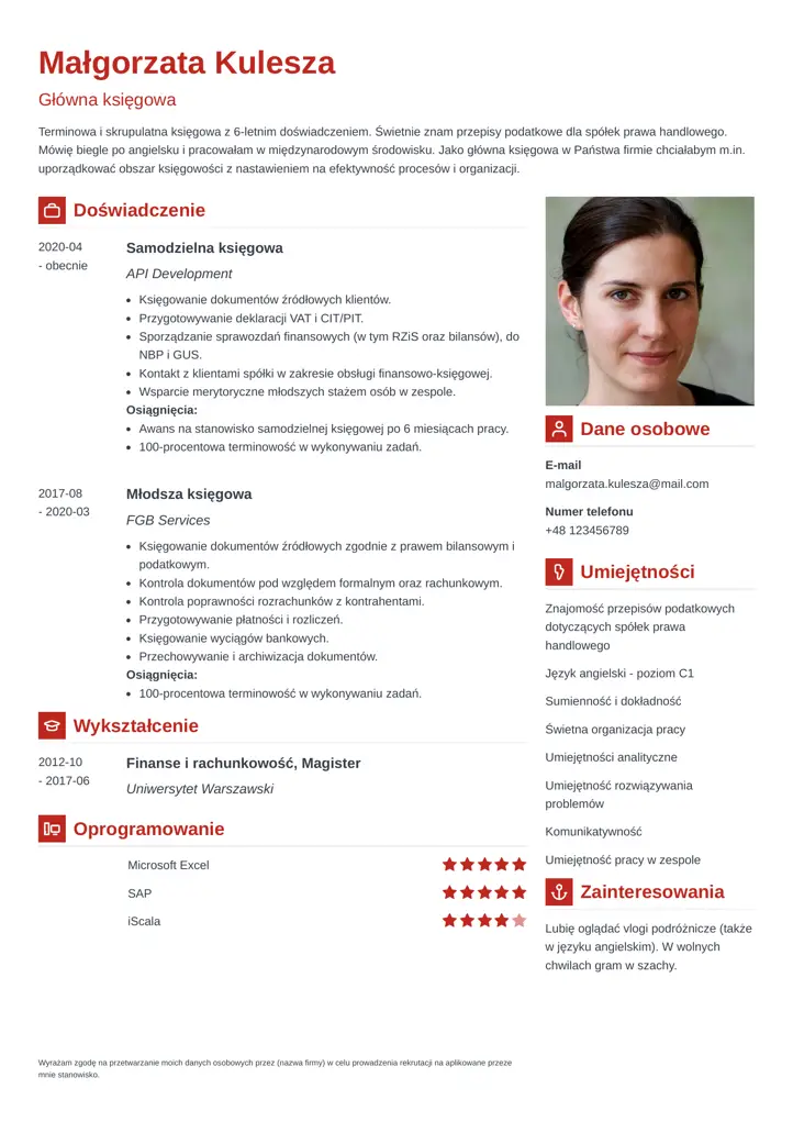vibes cv template red