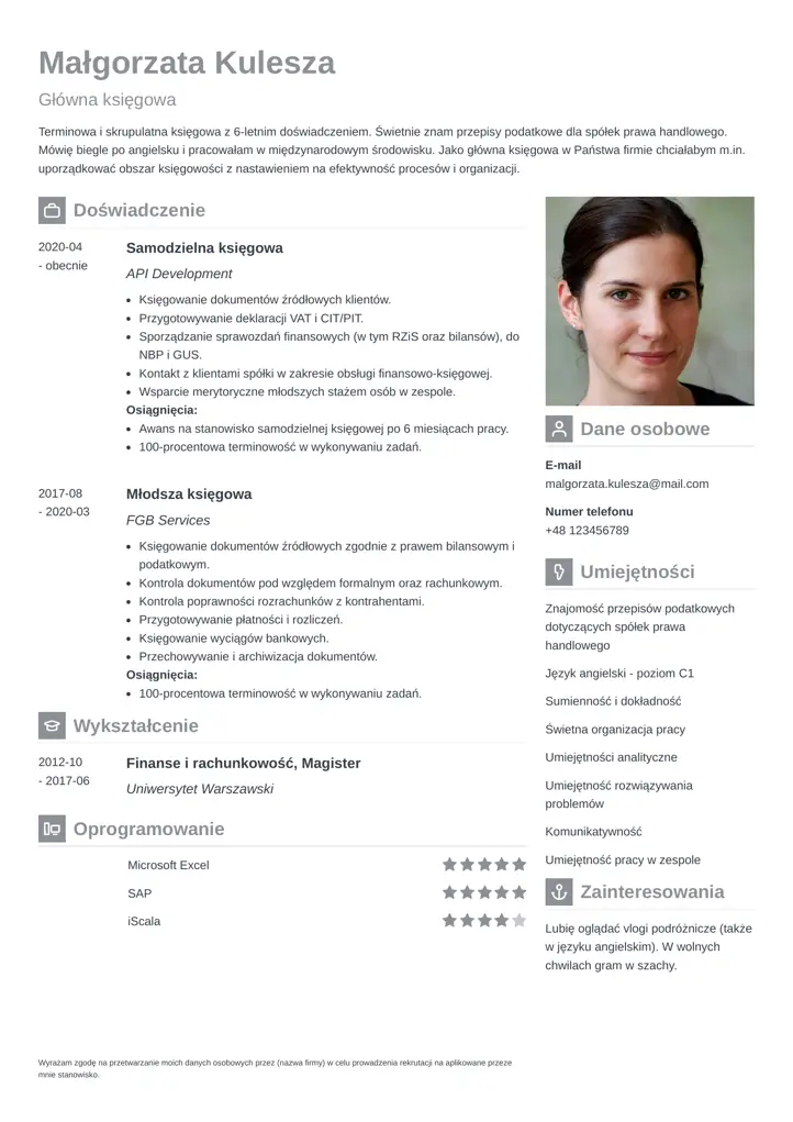 vibes cv template gray