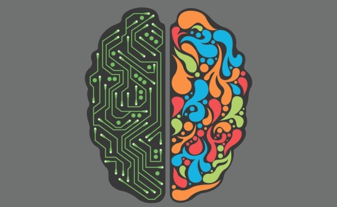 Półkule mózgu - za co odpowiadają? Ta teoria została obalona