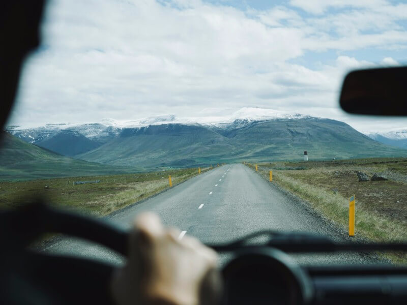 Zootechnik - praca, zarobki, oferty. Co po zootechnice?