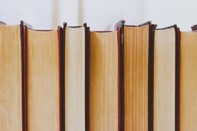 CV bibliotekarza – wzór i przewodnik krok po kroku