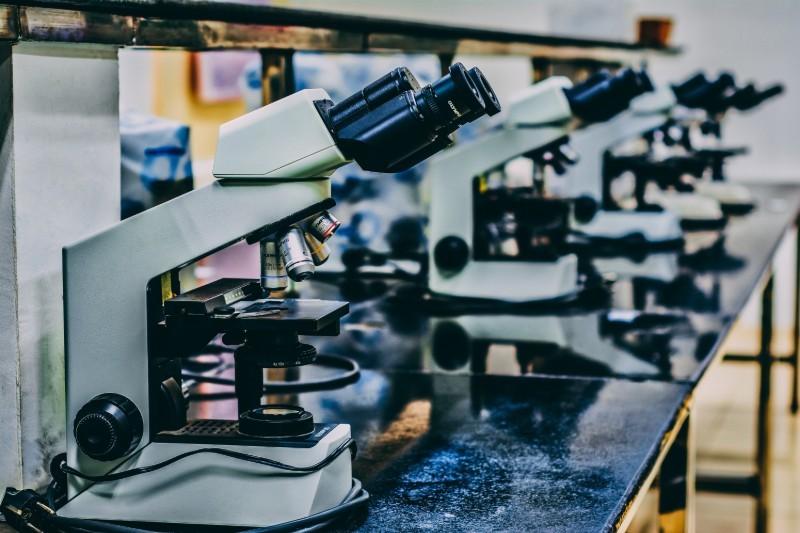 CV biotechnologa / chemika/ biologa – jak napisać? [Wzór]