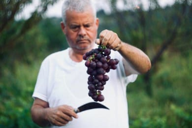 List motywacyjny do pracy sezonowej lub wakacyjnej - Wzór