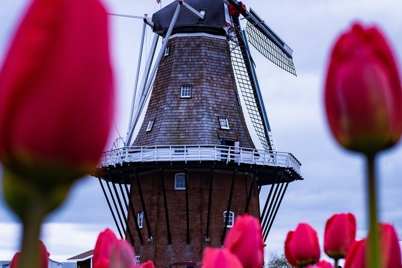 Praca w Holandii 2025: dla par, bez języka + Zarobki w Holandii