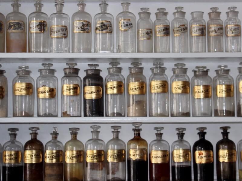 Biotechnologia – praca, oferty i zarobki biotechnologa